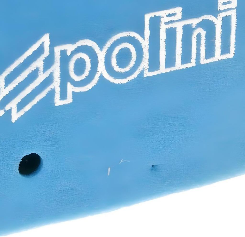 Polini Luftfilter Einsatz kompatibel mit Aprilia 50 2T (Minarelli Motor), CPI 50 E1 -2003