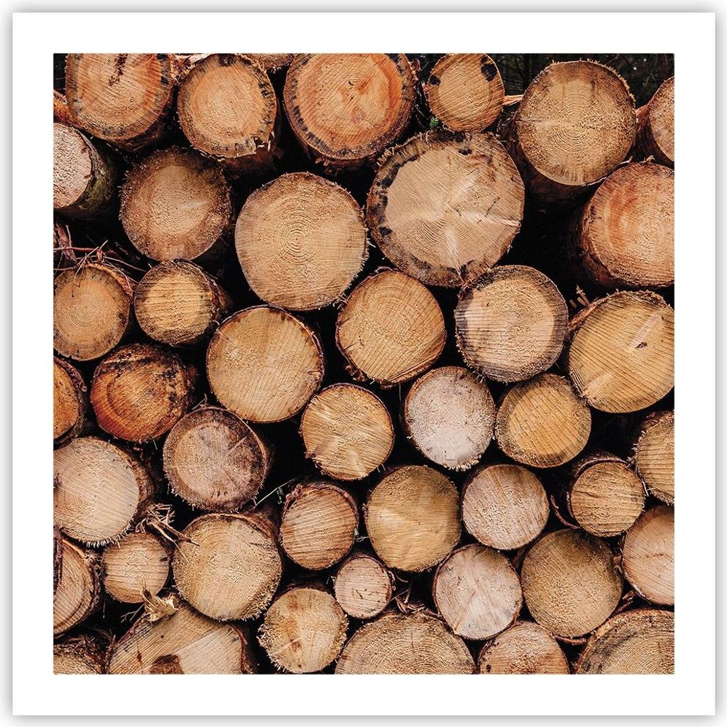 Poster - Poster ohne Rahmen - Holz Baumstämme Stämme - 60x60 cm - Wand Bild - Wanddeko - Wandbilder - Kunstposter - Wandposter - Bilder - Kunstdr...