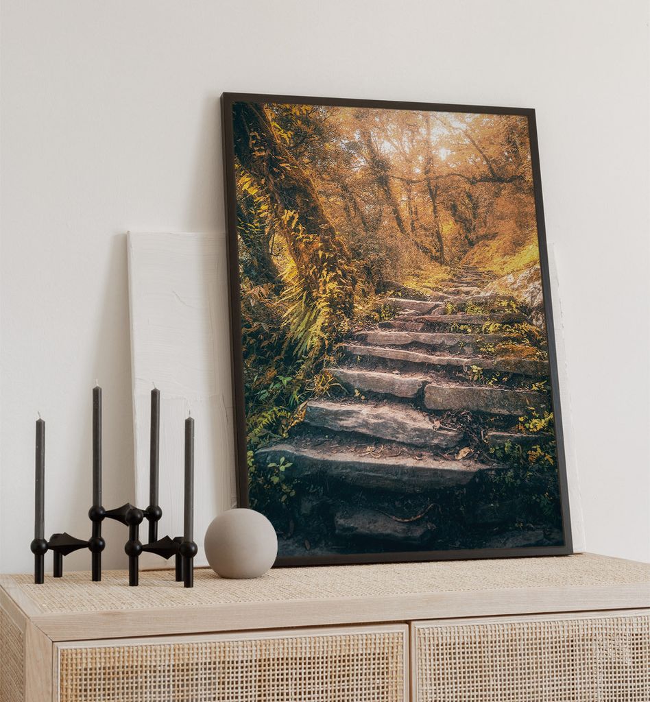 Poster Herbstlicher Waldweg, groesse_poster:40x50 cm, groesse_rahmen:birke Passepartout 50x70 cm