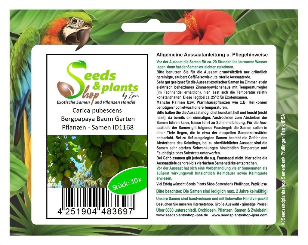 10x Carica pubescens Bergpapaya Baum Garten Pflanzen - Produktbild 