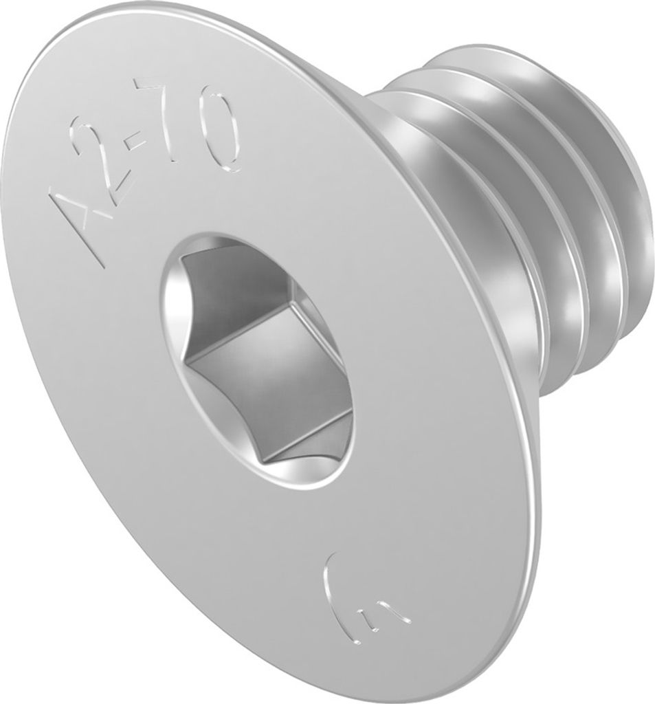 Vite a testa svasata SECCARO M6 x 8 mm, acciaio inox V2A VA Immagine del prodotto 