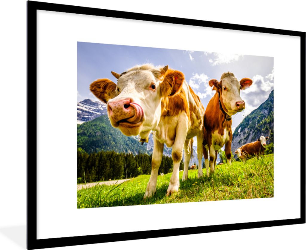 MuchoWow® Gerahmtes Poster Kühe - Berge - Gras - Landschaft Produktbild 