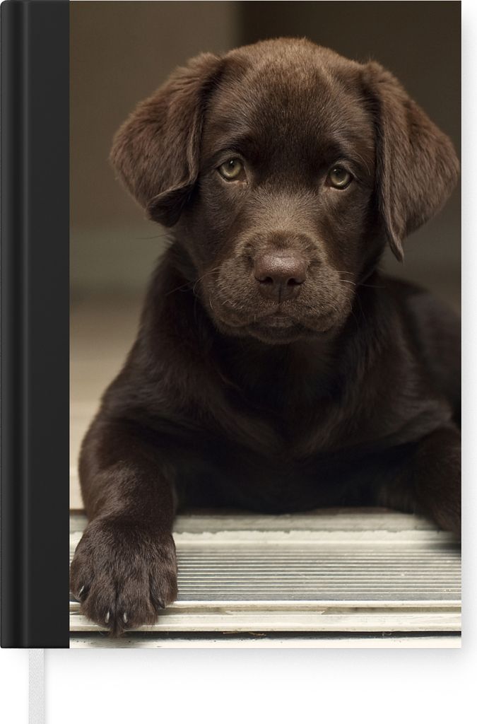 MuchoWow Notizbuch Tagebuch Haushaltsbuch Notebook A5 Niedlicher Labrador Retriever schaut in die Kamera - Notizblock - Notizheft - Notebook - Sc...