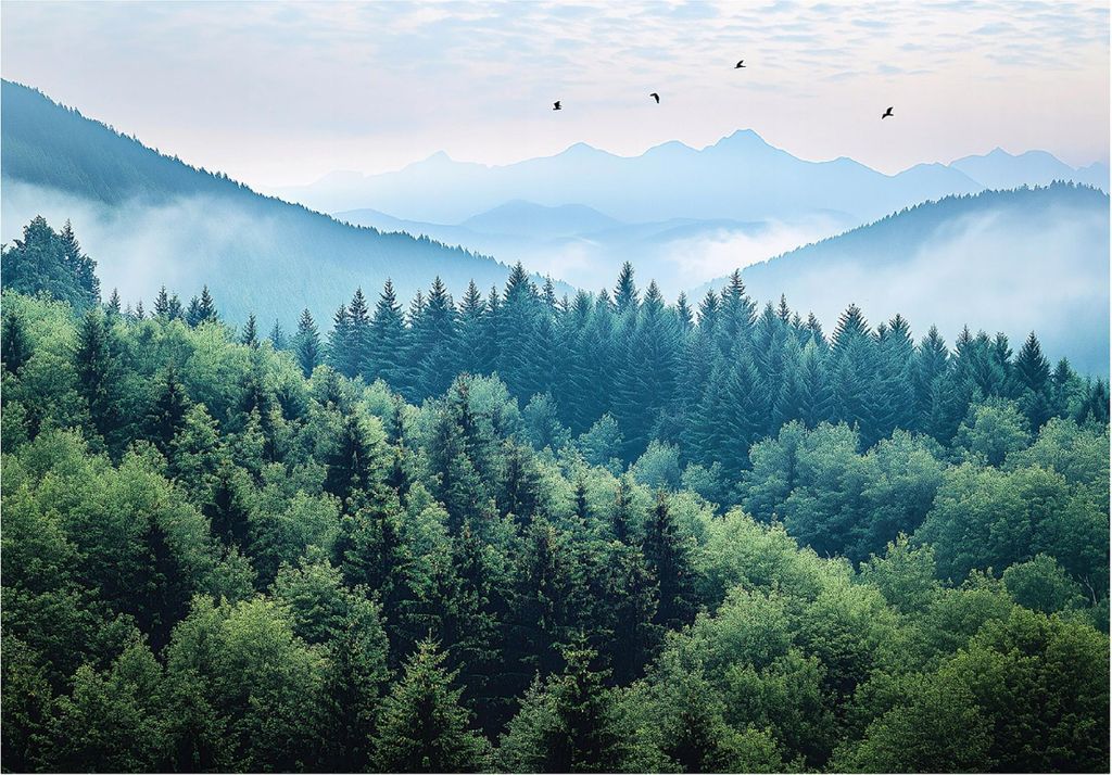 Fototapete 3D Effekt Wald im Nebel Natur - 300x210 cm - inklusive kleister - Vlies Tapete - Vliestapete Wohnzimmer Schlafzimmer Küche Modern Wandt...