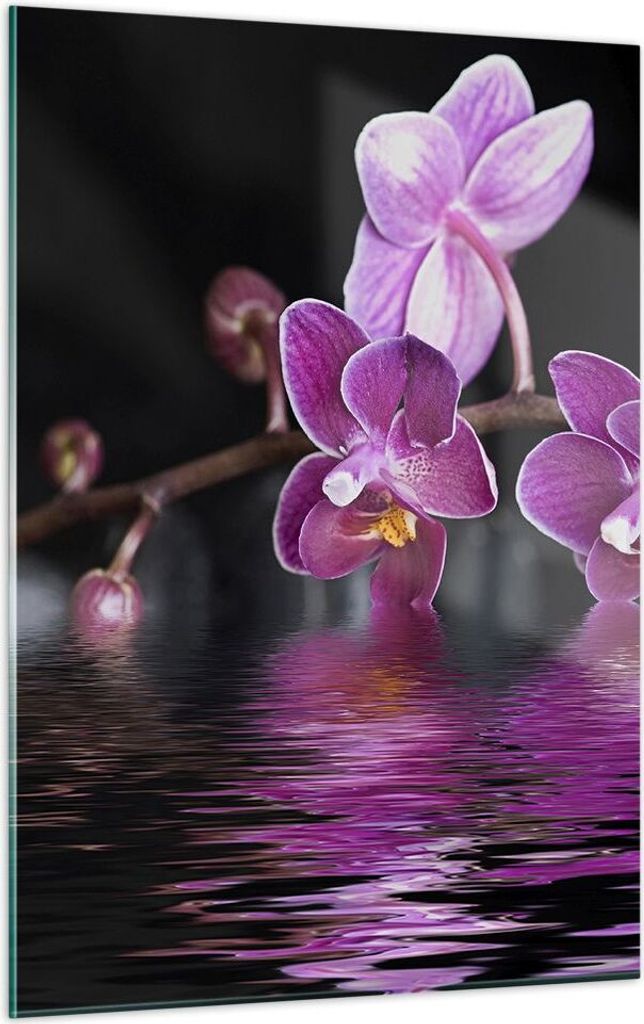 Bilder auf glas - Einteilig - Asien exotisch orchidee blume - 50x70cm - Glasbilder - Wandbilder - Bilder - Wanddekoration aus Glas - Glas Bilder - ...