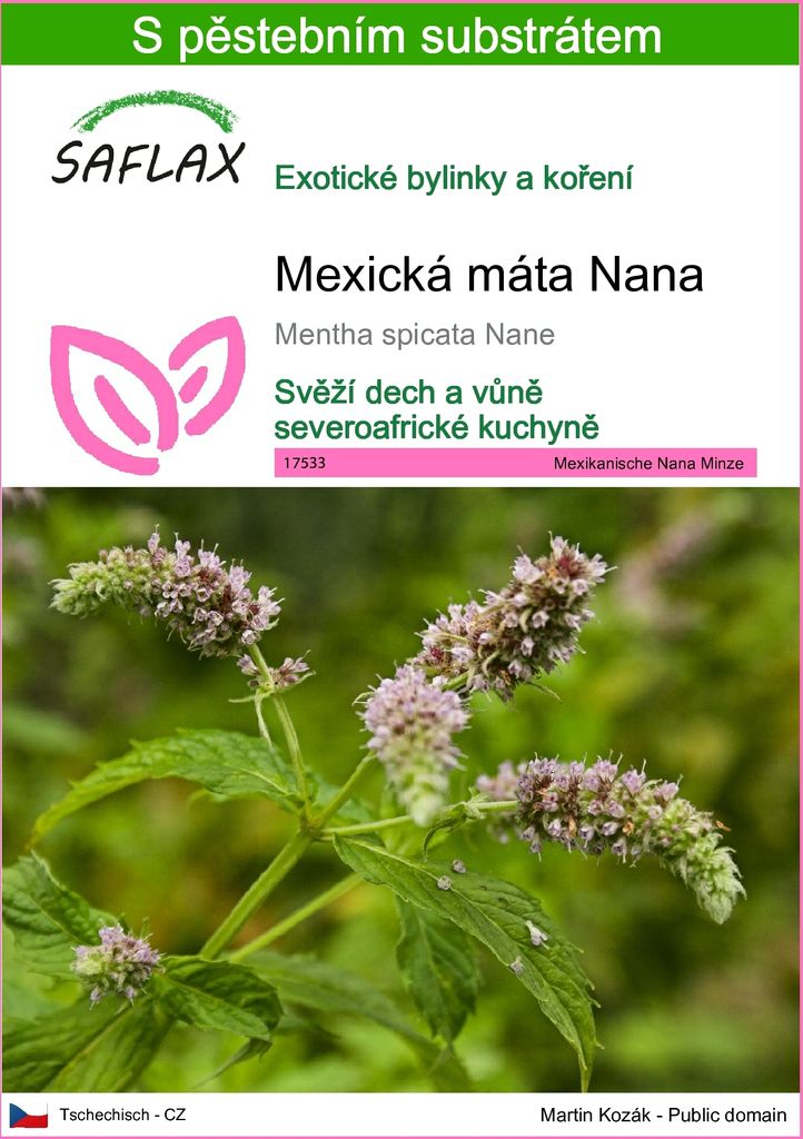 SAFLAX - Mexická máta Nana - Mentha spicata Nane - 500 Obrázek produktu 