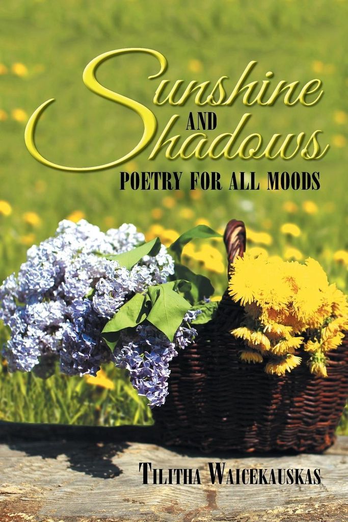 Sunshine and Shadows
