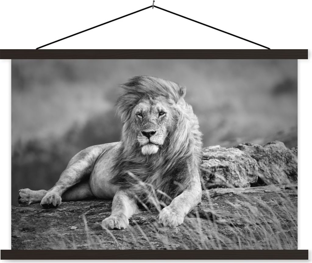 MuchoWow Textilposter Löwen - Wild - Schwarz - Weiß 90x60 cm mit schwarzem Rahmen - Aufhängungssatz