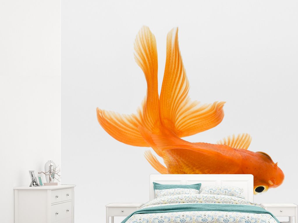 MuchoWow Fototapete für Wohnzimmer oder Schlafzimmer Wandtapete Vinyl Motivtapete Goldfisch - Schwimmen - Weiß - 245x220 cm - Gemustert