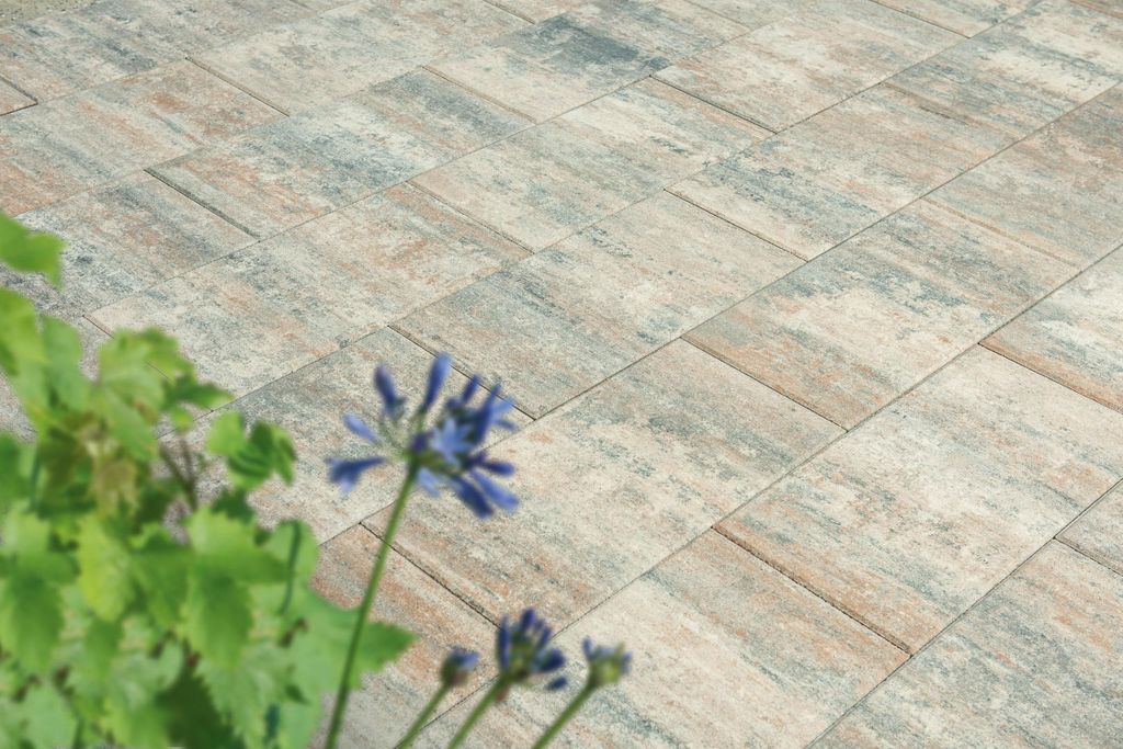 Terrassenplatten VIA MUSCHELKALK 60/30/4 CM PE2 96/DBP