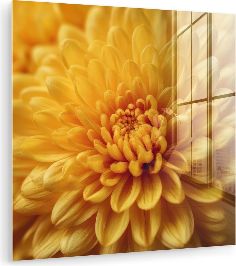 MuchoWow Glasbilder - Bilder auf Wandbild - Foto auf Glas Gelb - Chrysantheme - Sanftheit 30x30 cm Wanddekoration aus Glas - Acrylglasbild - Acrylb...