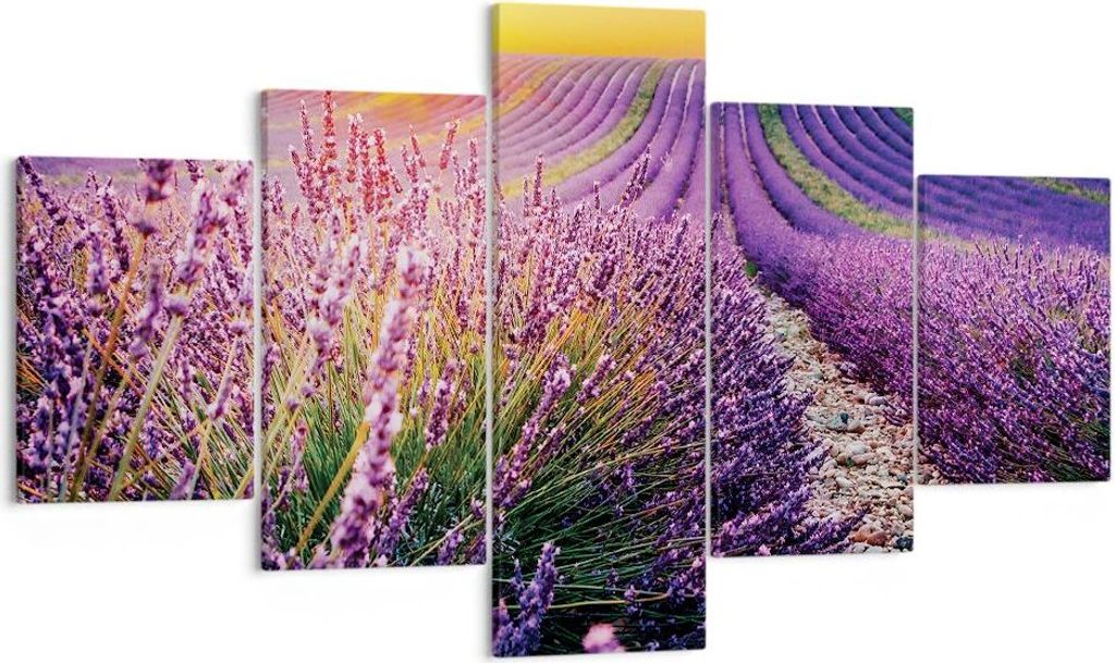 Bild auf Leinwand - Leinwandbild - 5 Teile - Feld Lavendel Sonne - 125x70cm - Wand Bild - Wanddeko - Wandbilder - Leinwanddruck - Bilder - Wanddeko...