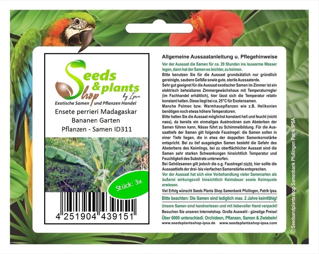 3x Ensete perrieri Madagaskar Bananen Garten Pflanzen - Samen ID311