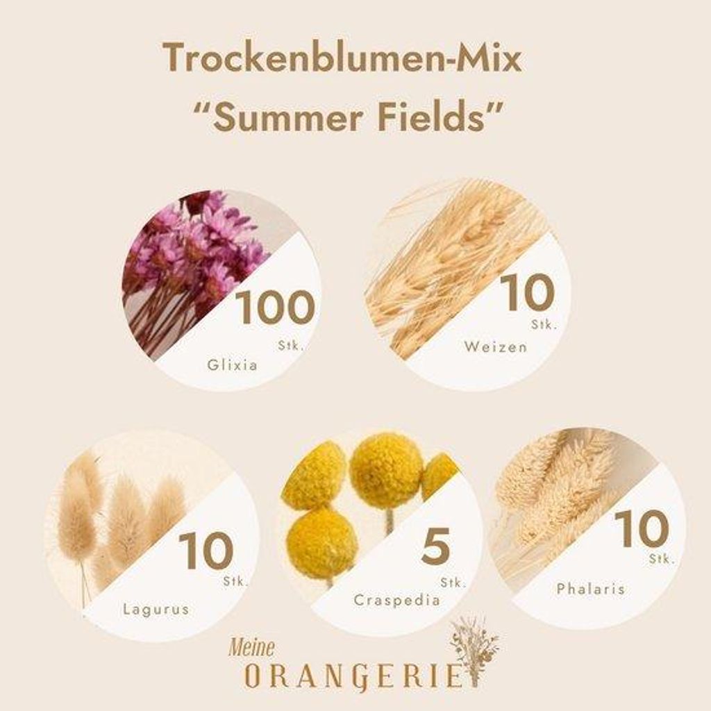 Droogbloemen Set aus Kunststoff für Dekoration, 135 Stück