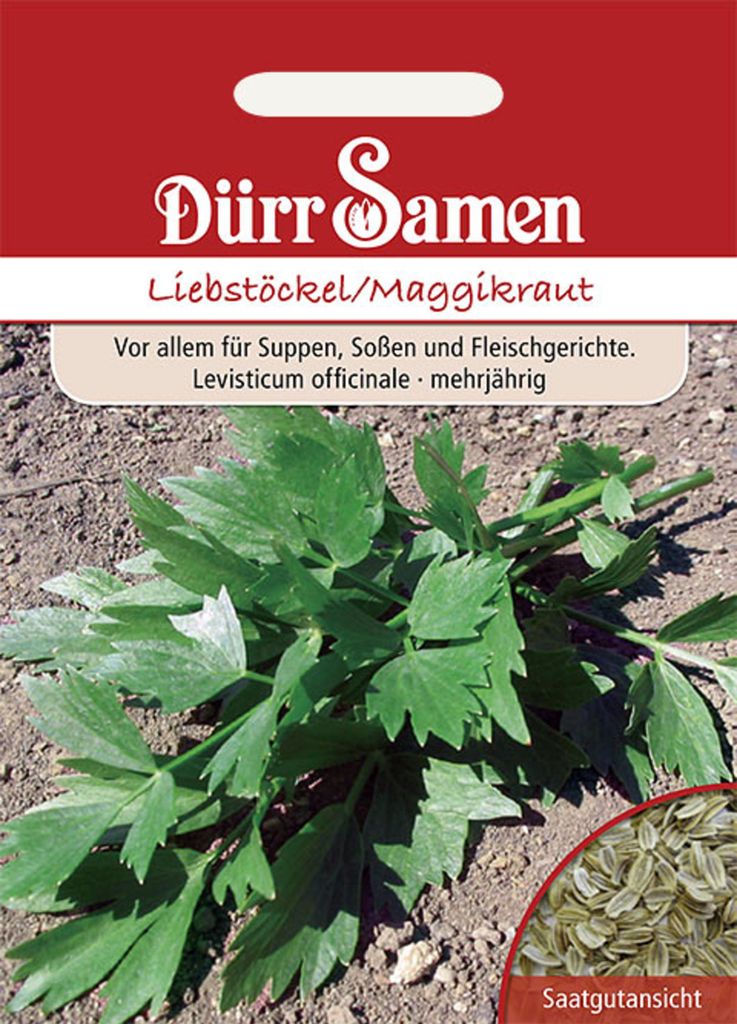 Dürr-Samen - Liebstöckel Maggiekraut - Saatgut - 0182