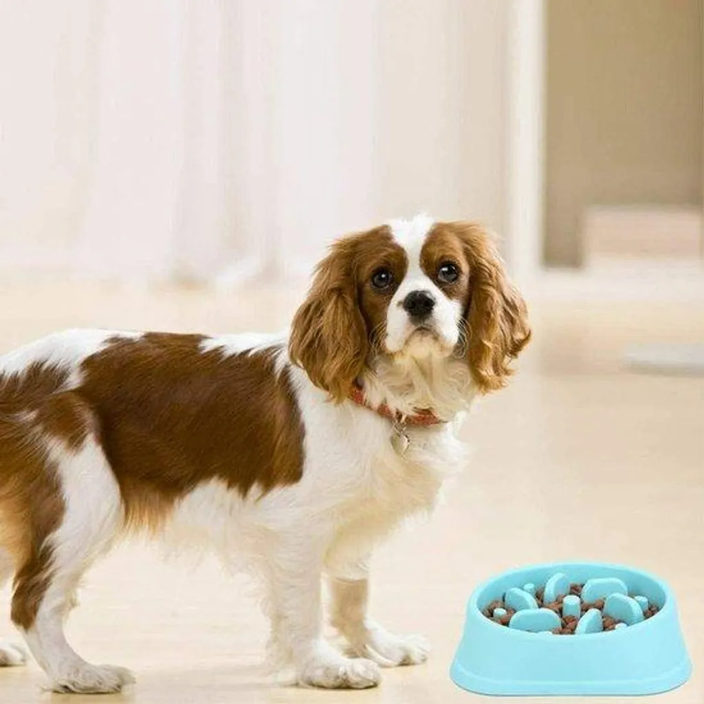 Gamelle anti-glouglou rose pour ralentir le repas - Bol chien interactif