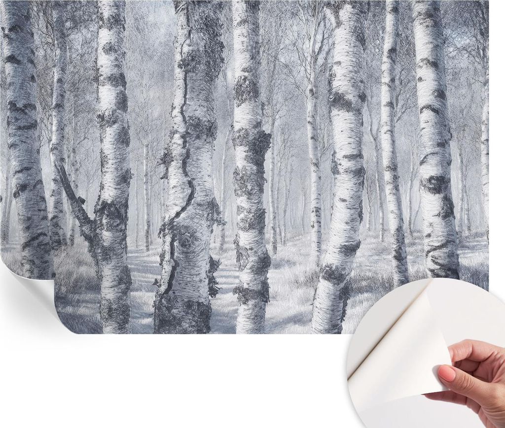 Selbstklebende Wandtapete - Dekorative Tapete für Wohnzimmer - Klebefolie für Wandbilder - Tapetenfolie für Wanddekoration - 152x104 cm - Frosti...