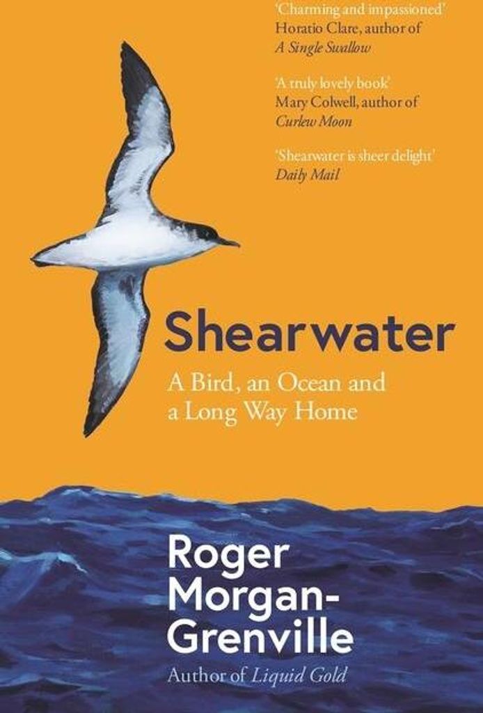 Shearwater