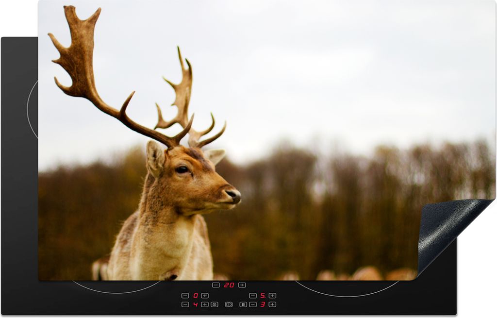 KitchenYeah Herdabdeckplatte Damhirsch - Wald - Herde - Tiere - Natur , 85x52cm, Küche Deko, Ceranfeld Herdabdeckung, Abdeckplatte fùr Kochfeld