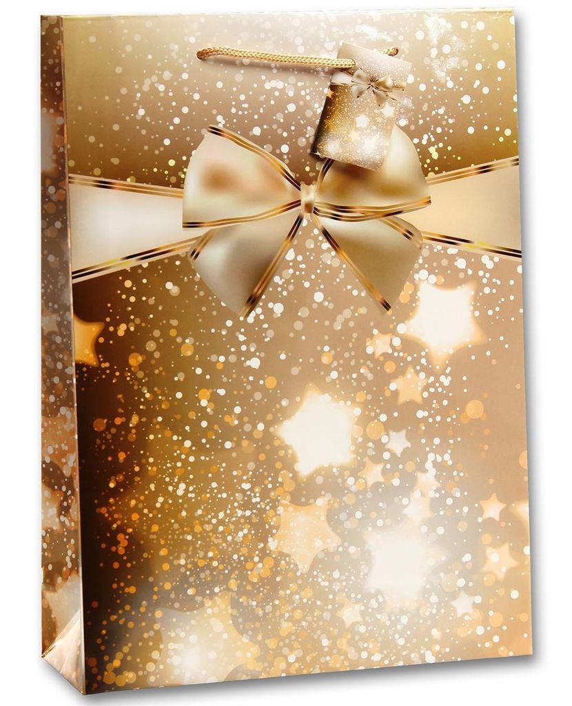 12x Geschenktüten Geschenktaschen Groß 157g Glänzend Ca. Produktbild 