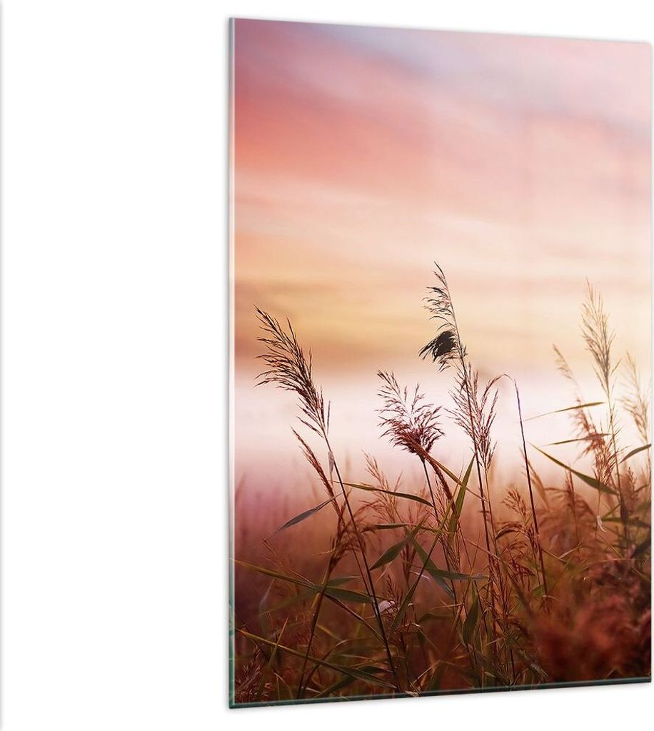 Bilder auf glas - Einteilig - Wiese Getreide Natur - Produktbild 