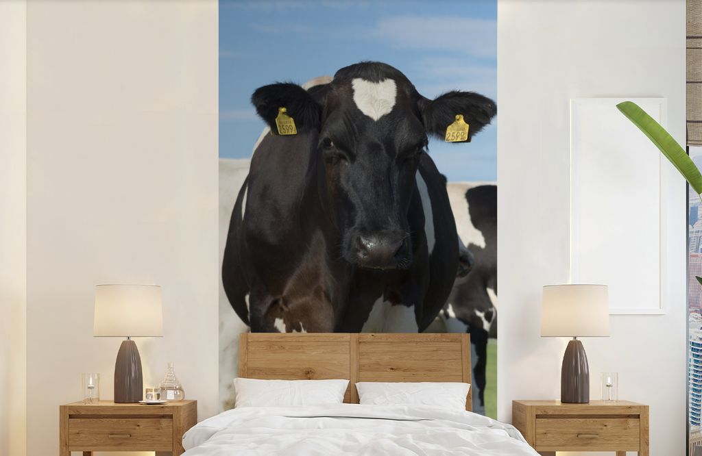 MuchoWow Fototapete für Wohnzimmer oder Schlafzimmer Wandtapete Vinyl Motivtapete Kuh - Gras - Blau - Schatten - 120x240 cm - Hintergrundbild