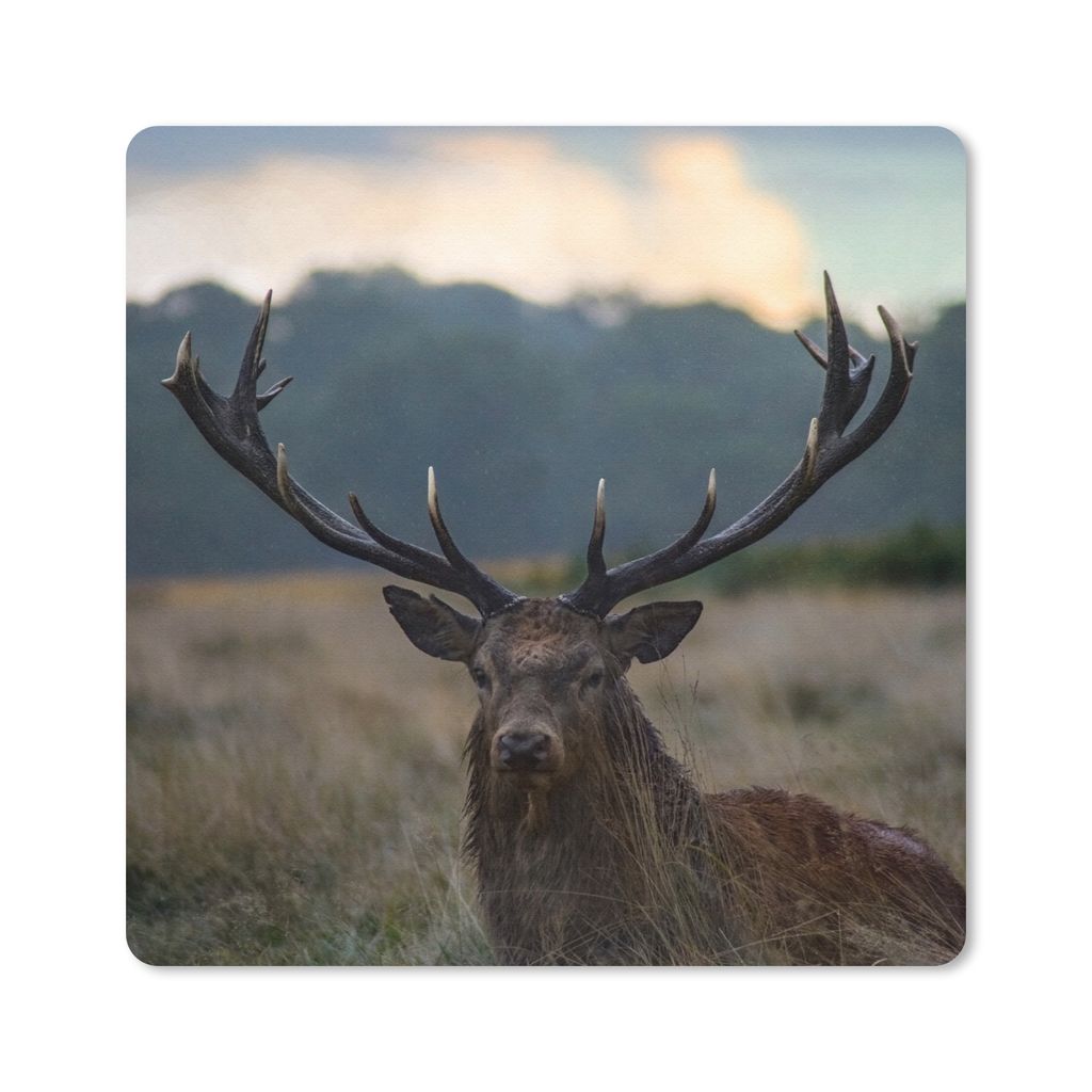 MuchoWow Mauspad Mousepad Hirsch - Wiese - Geweih 30x30 cm - Mousepads - Maus Mat - Pad - Mausunterlage - Gaming