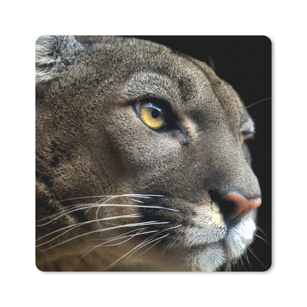 MuchoWow Mauspad Mousepad Puma - Wilde Tiere - Porträt 20x20 cm - Mousepads - Maus Mat - Pad - Mausunterlage - Desk Mat - Bureauartikeln