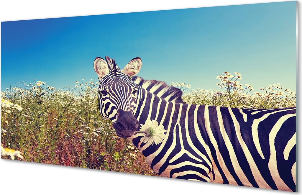 Glasbilder 140x70 Wandkunst Zebra Blumen