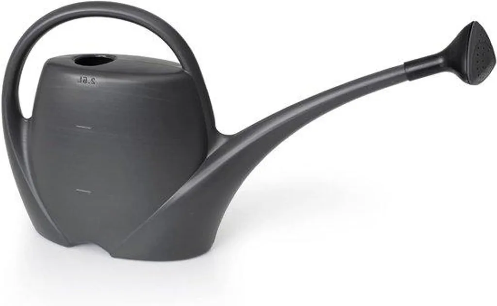 Arrosoir pour plantes de salon noir 2,5L, idéal pour petit appartement