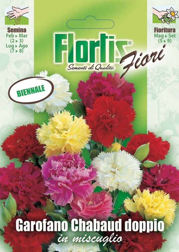 Landnelke Mischung | Landnelkensamen von Flortis