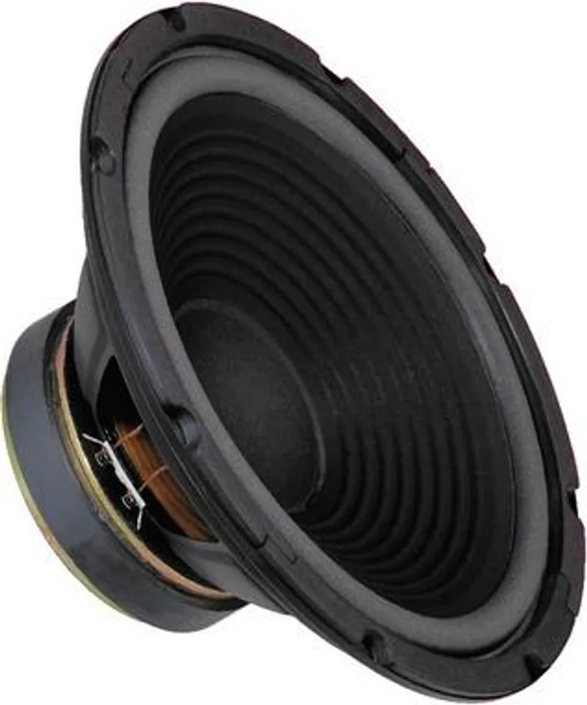 Haut-parleur de Grave Monacor SP-300P Woofer 12 Pouces pour Enceinte Hi-Fi