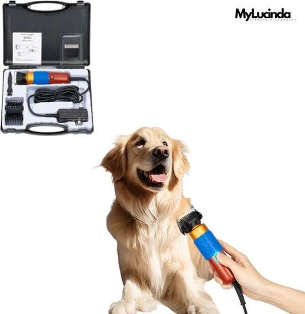 Matériel de toilettage pour chiens en bois avec 2 têtes et rangement