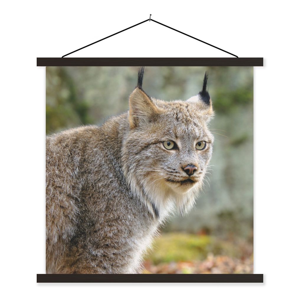 MuchoWow Textilposter Luchs - Wald - Grau 120x120 cm mit schwarzem Rahmen - Aufhängungsset