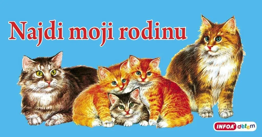 Jeu de Cartes Familial Najdi moji rodinu pour Enfants et Adultes