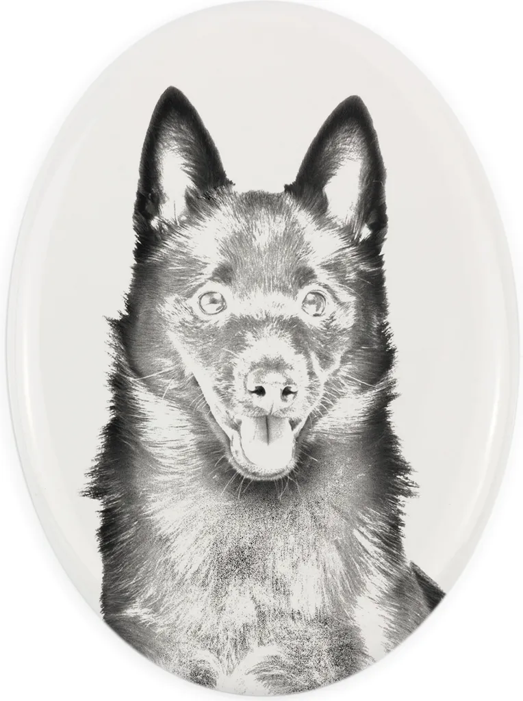 Targa Commemorativa Schipperke Art-Dog - Lapide Personalizzata Cane