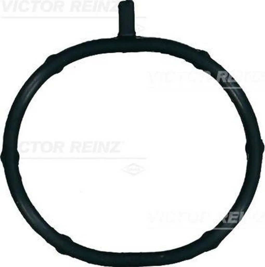 Guarnizione Collettore Aspirazione OE 2841103670 Victor Reinz 71-15700-00