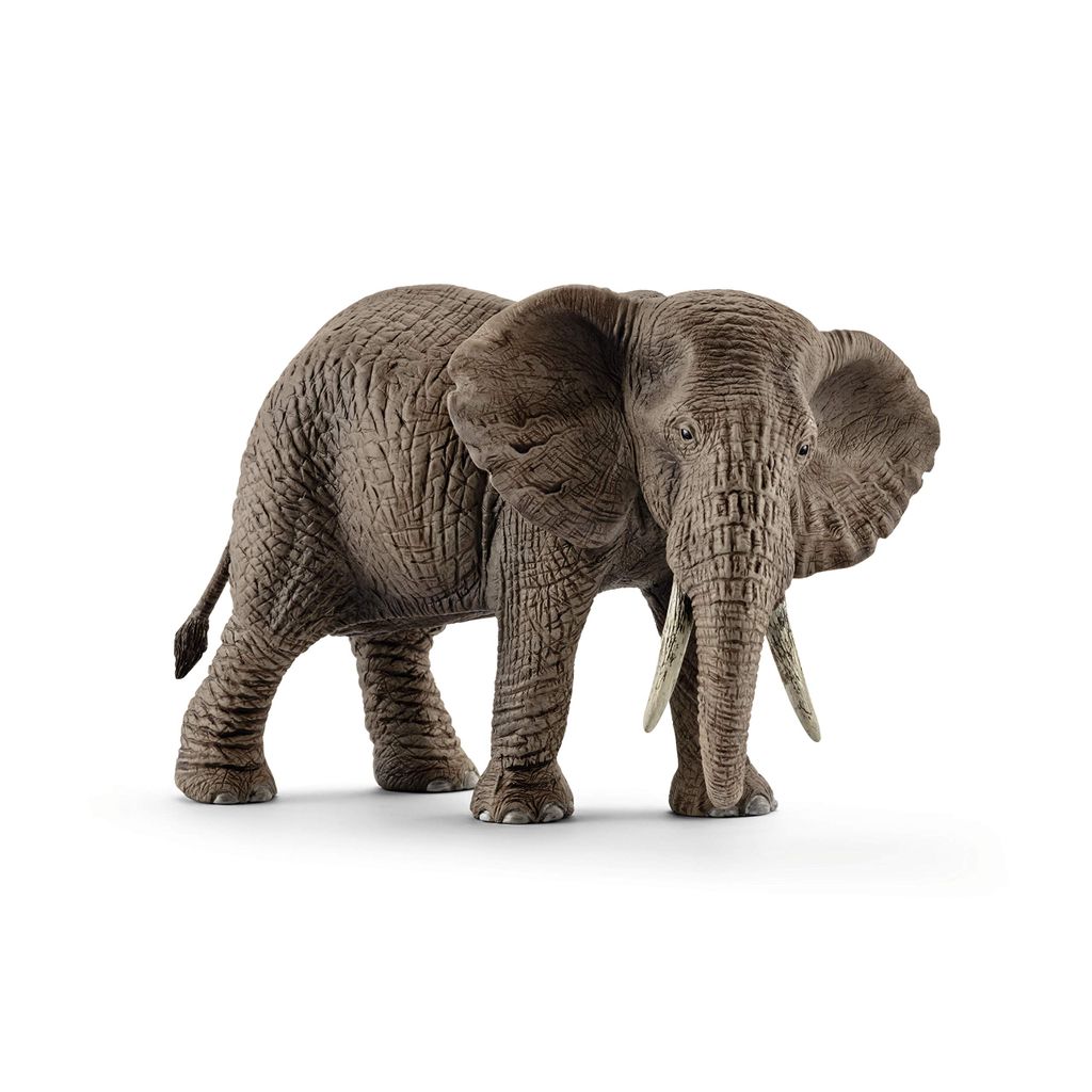 Schleich - Figurines d'animaux, Eléphant d'Afrique ; 14761 Image du produit 
