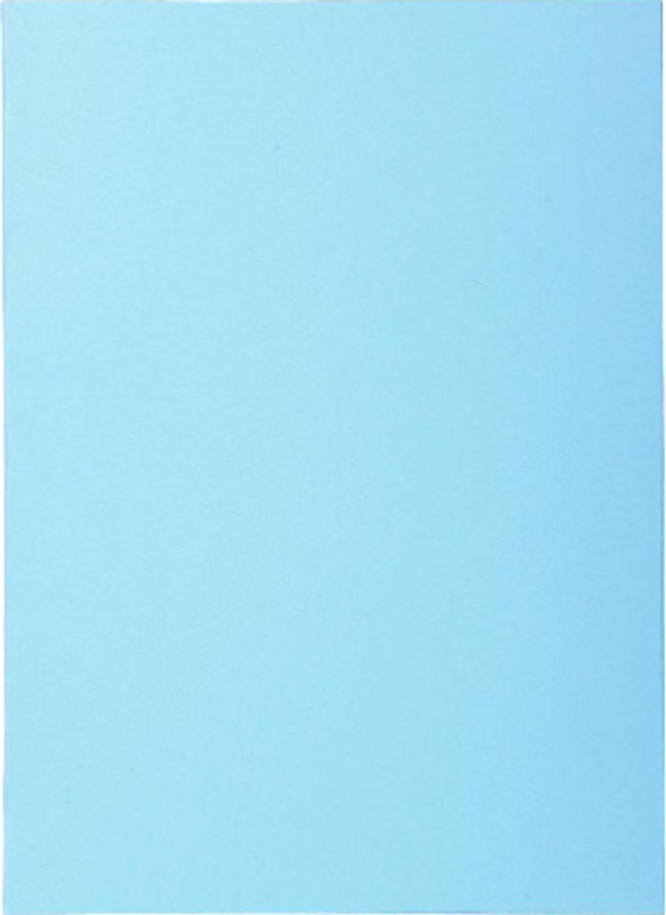 Exacompta 10x 30 sous-chemises SUPER 60 22x31cm Couleurs Image du produit 