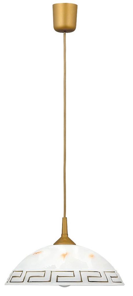 A pendant light fixture against a white background.