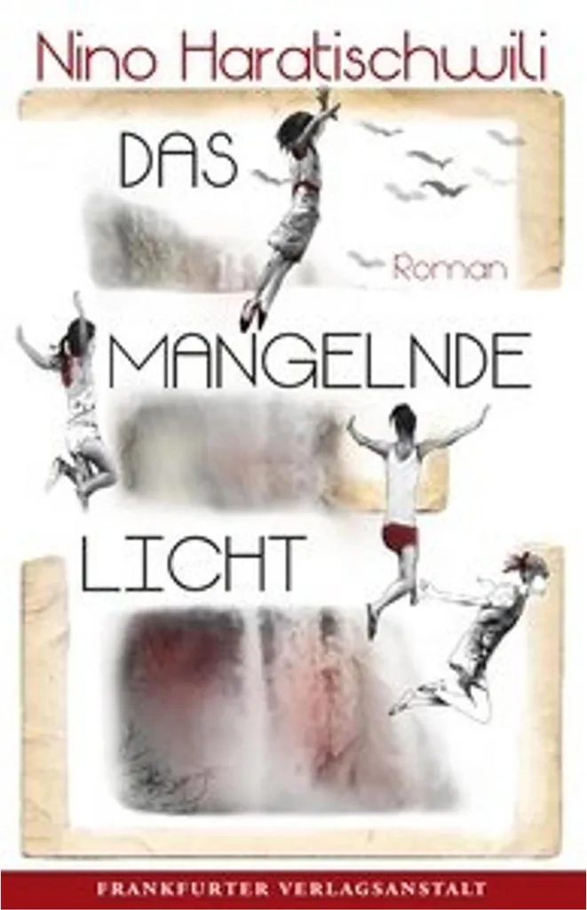 Roman Das mangelnde Licht pour enfin lire un récit historique captivant