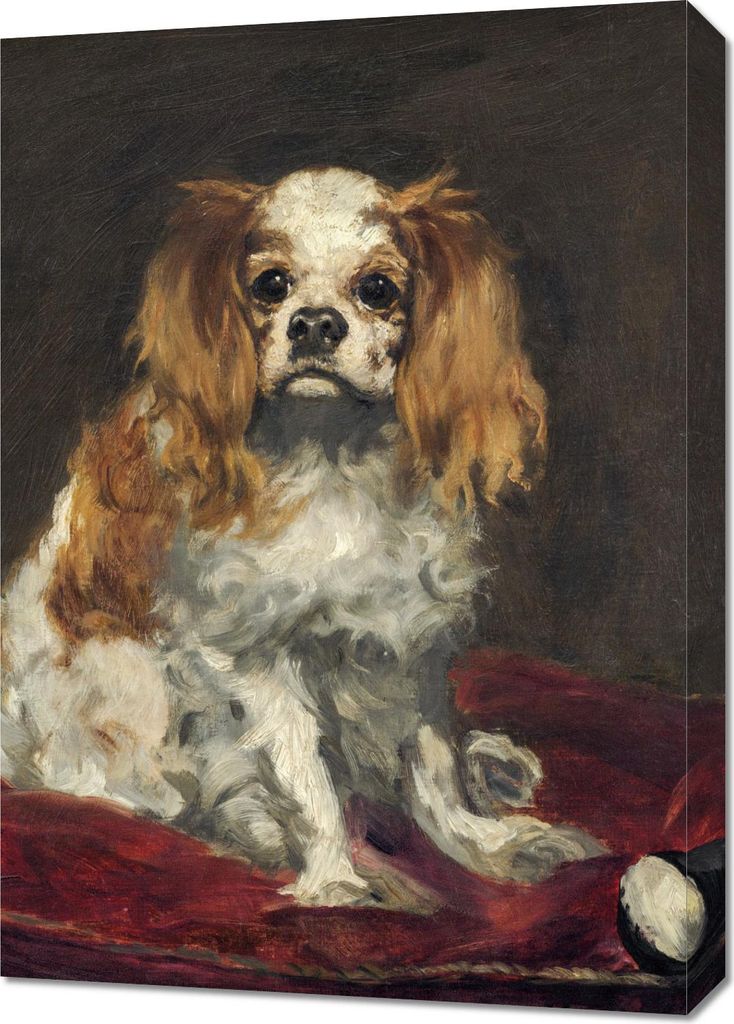 Bild 50x70cm Ein King Charles Spaniel, Edouard Manet für das Wohnzimmer