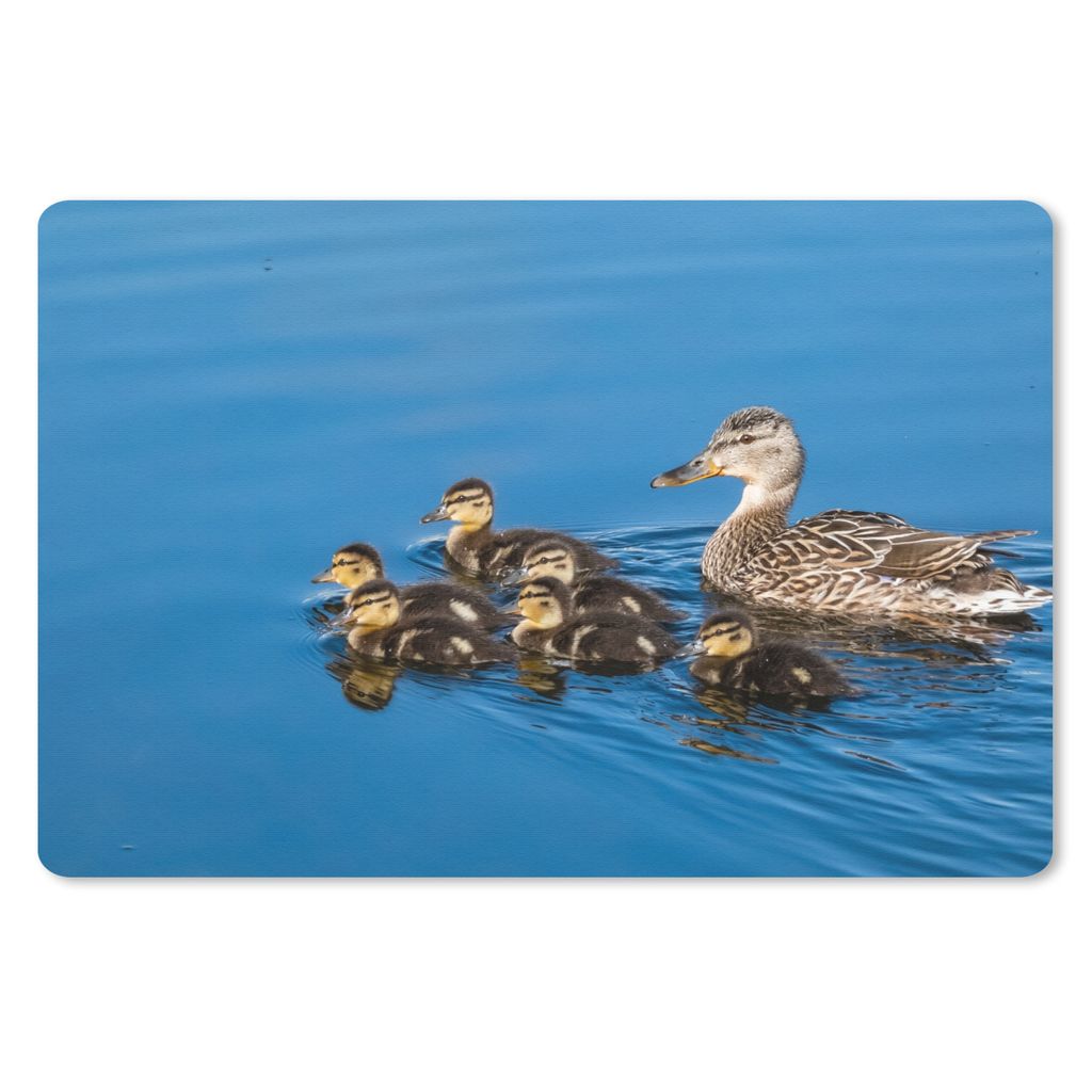 MuchoWow Schreibtischunterlage Ente - Wasser - Vogel - Braun 60x40 cm - XXL Mauspad - Großes Mauspad