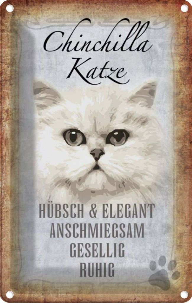 vianmo Blechschild 30x20 cm Chinchilla Katze hübsch elegant Tier Haustier