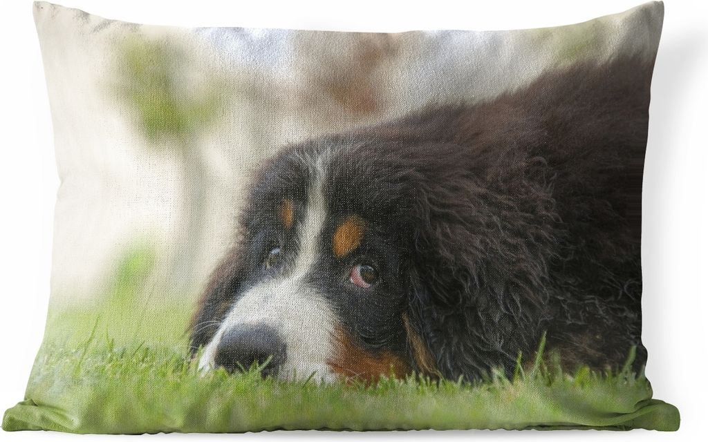 MuchoWow Outdoor Kissen - Berner Sennenhund auf dem grünen Rasen liegend - 50x30 cm - Wetterfest - Lounge Kissen - Sofa kissen - Wohnzimmer Deko...