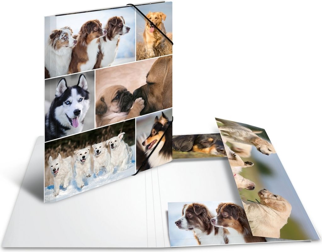 Sammelmappe A4 Pappe Hunde Packung mit 3 Stück