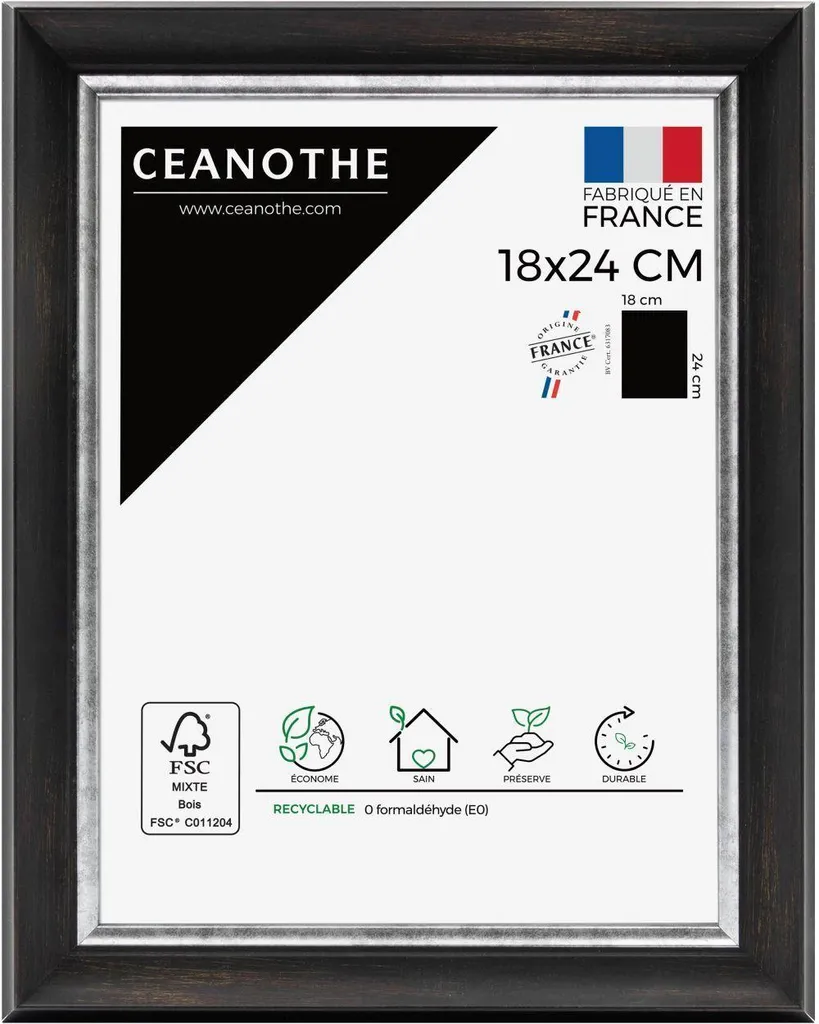 Grand cadre 40x50 Pandore noir argent Ceanothe avec baguette bicolore