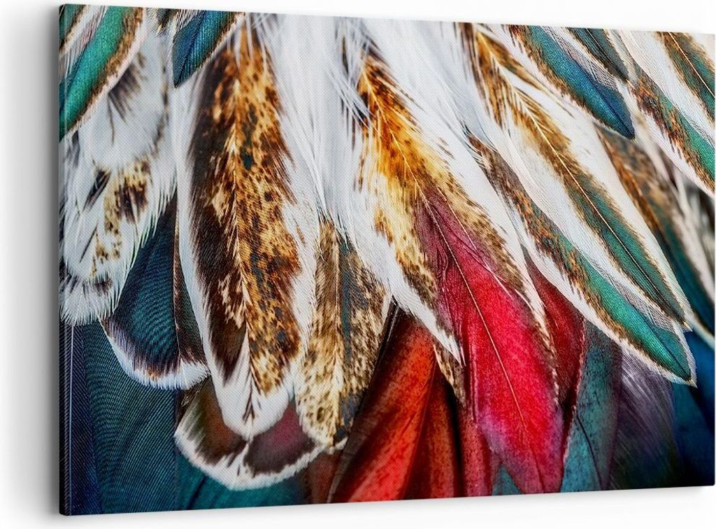 Bild auf Leinwand - Leinwandbild - Federn Federn Vogel - 100x70cm - Wand Bild - Wanddeko - Leinwanddruck - Bilder - Kunstdruck - Wanddekoration - L...