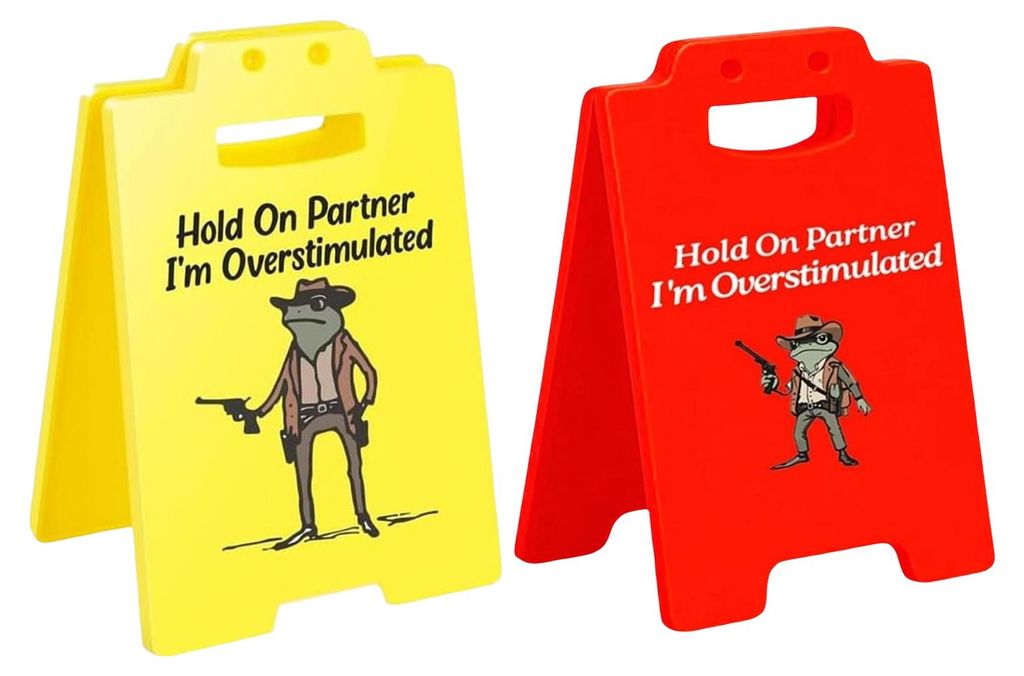 1/2/3 Stück „Vorsicht Überreizung“-Tischschild mit Cowboy-Frosch-Motiv – Halt durch, Partner, ich bin überreizt – Mini-Tischschild für ...
