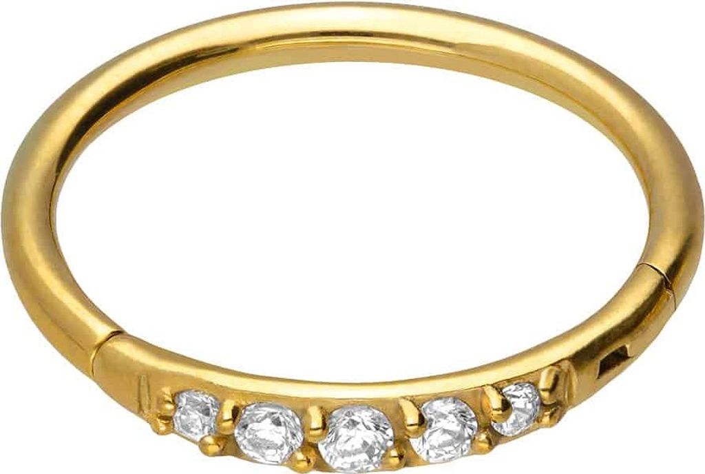 Ohrpiercing, Nasenpiercing, Septum Piercing Chirurgenstahl Segmentring Clicker 5 EINGEFASSTE KRISTALLE Gold Innendurchmesser: 12 mm